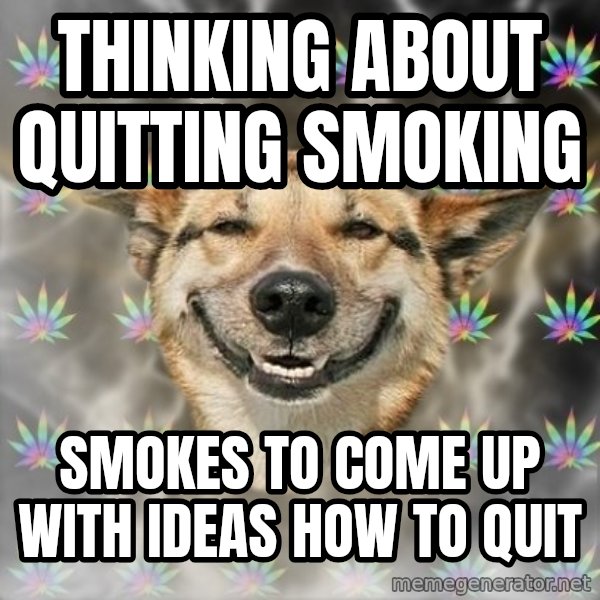 Stoner Dog meme: thinking about quitting smoking / smokes to come up with ideas how to quit