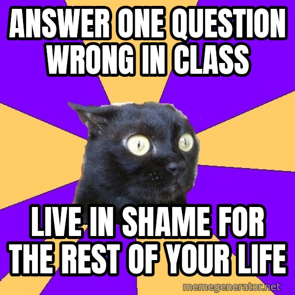 Anxiety Cat meme: answer one question wrong in class / live in shame for the rest of your life