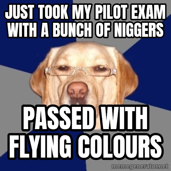 Racist Dog meme: just took my pilot exam with a bunch of niggers / passed with flying colours