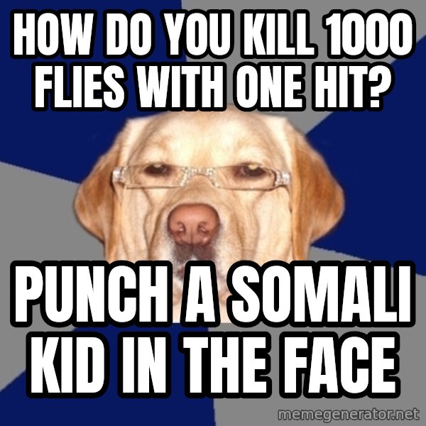 Racist Dog meme: hOW DO YOU KILL 1000 FLIES WITH ONE HIT? / PUNCH A SOMALi kID IN THE FACE