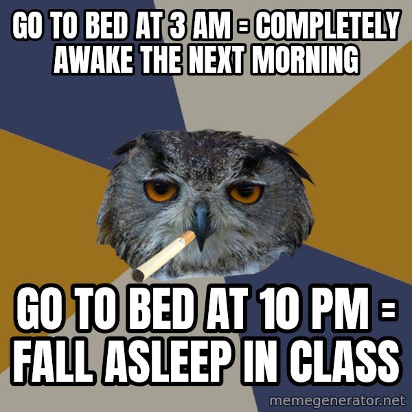 Art Student Owl meme: GO TO BED AT 3 AM = COMPLETELY AWAKE THE NEXT MORNING / GO TO BED AT 10 PM = FALL ASLEEP IN CLASS