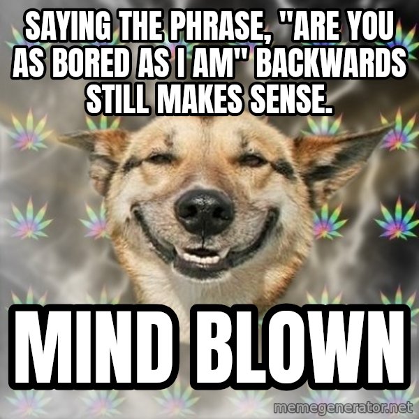 Stoner Dog meme: saying The Phrase, "are you as bored as i am" backwards still makes sense. / Mind Blown