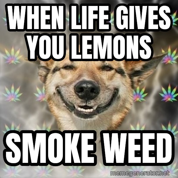 Stoner Dog meme: when life gives you lemons / smoke weed