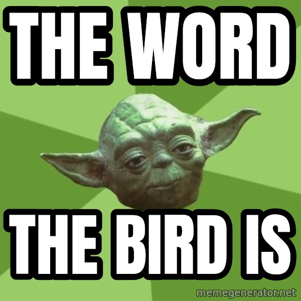 Advice Yoda Gives meme: the word / the bird is
