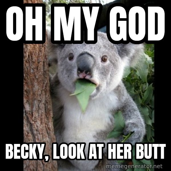 Koala can't believe it meme: OH MY GOD / BECKY, LOOK AT HER BUTT