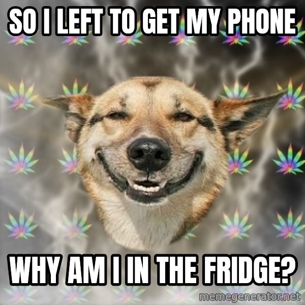 Stoner Dog meme: so i left to get my phone / why am i in the fridge?