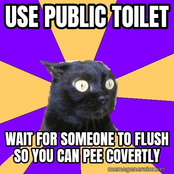 Anxiety Cat meme: USE PUBLIC TOILET / WAIT FOR SOMEone TO FLUSH SO YOU CAN PEE COVERTLY