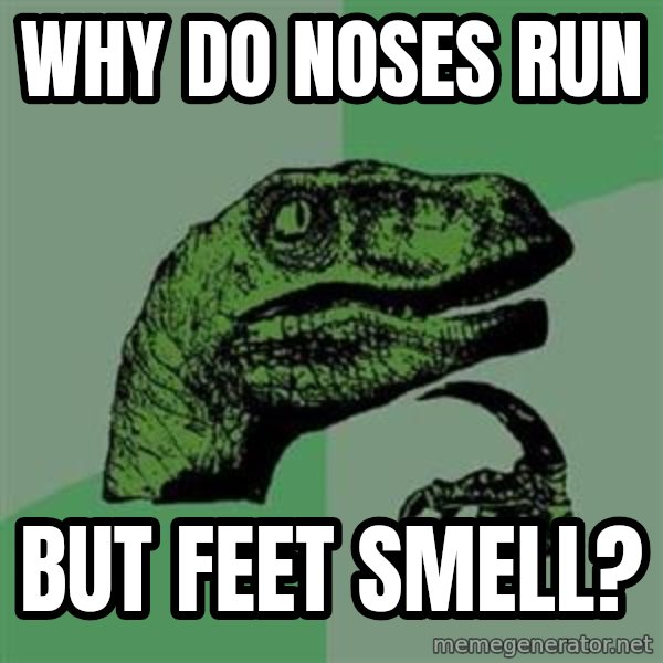 Philosoraptor meme: why do noses run / but feet smell?