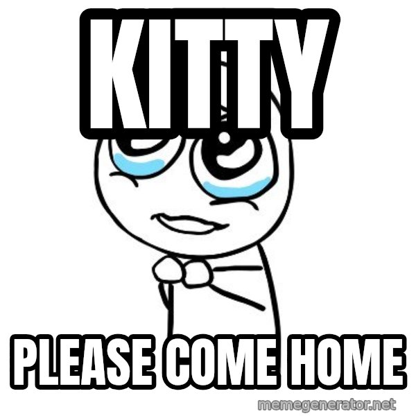 pleaseguy  meme: Kitty / Please Come home