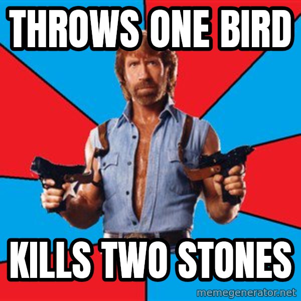 Chuck Norris  meme: throws one bird / kills two stones