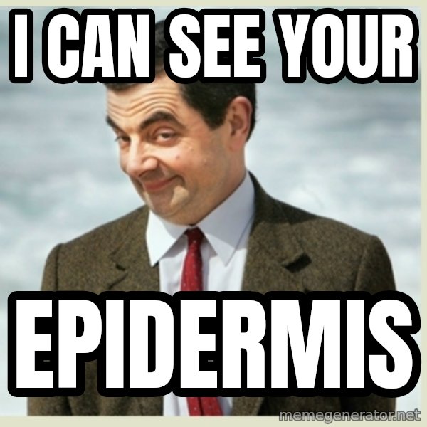 MR bean meme: I can see your / epidermis