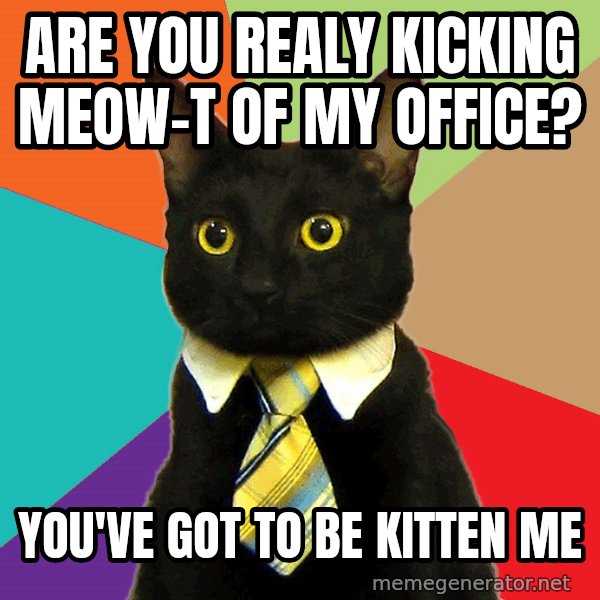 Business Cat meme: Are you realy kicking meow-t of my office? / You've got to be kitten me