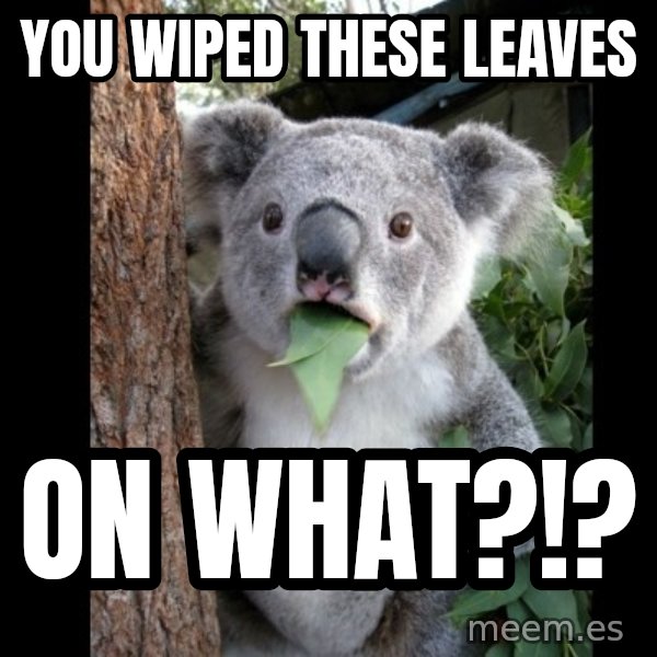 Koala can't believe it meme: You wiped these leaves / on what?!?