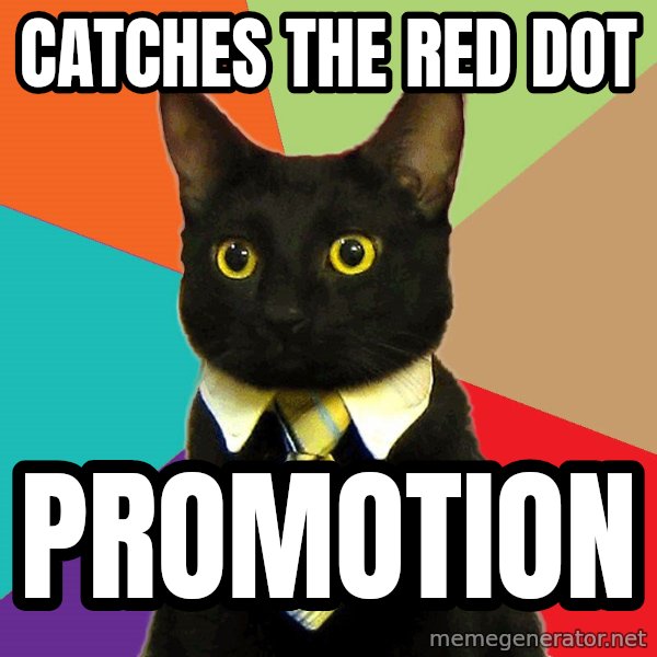 Business Cat meme: Catches the red dot / promotion