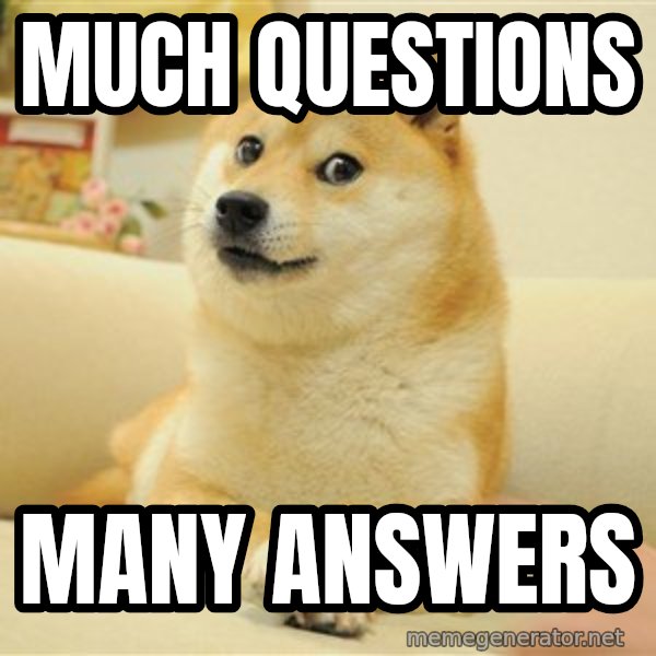 so doge meme: much questions / many answers