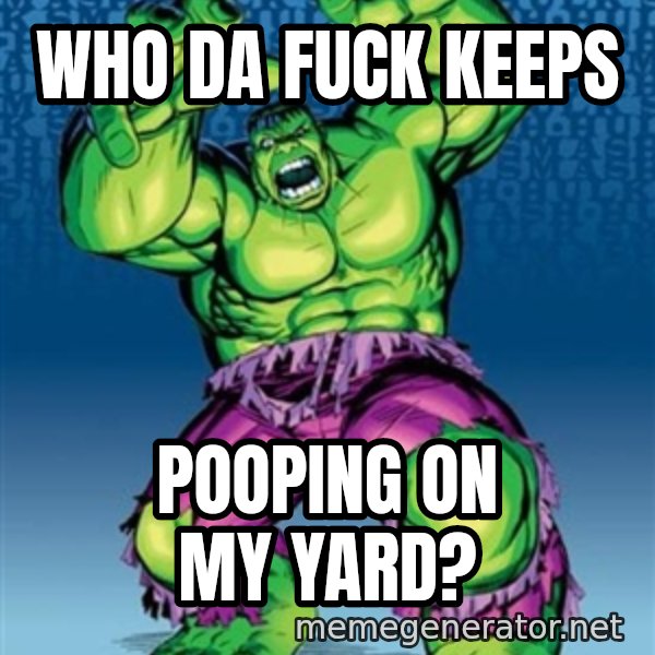 Hulk meme: who da fuck keeps / pooping on my yard?