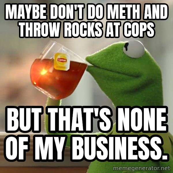 Kermit The Frog Drinking Tea meme: Maybe don't do meth and throw rocks at cops / But that's none of my business.