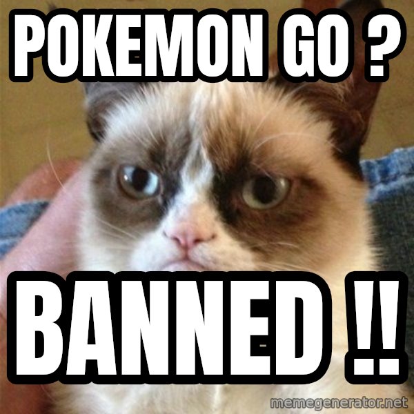 Grumpy Cat  meme: POKEMON GO ? / BANNED !!