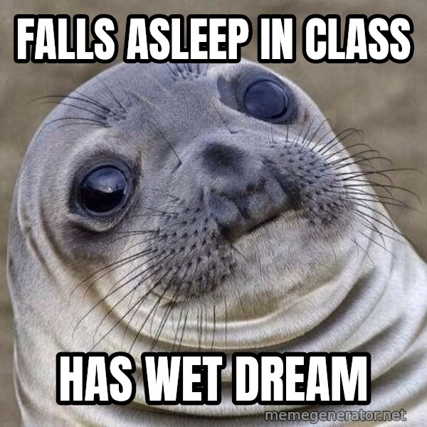 Awkward Seal meme: falls asleep in class / has wet dream