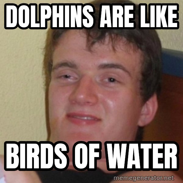 Stoner Stanley meme: dolphins are like / birds of water