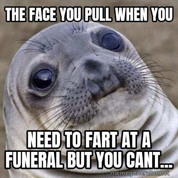 Awkward Seal meme: the face you pull when you / need  to fart at a funeral but you cant...