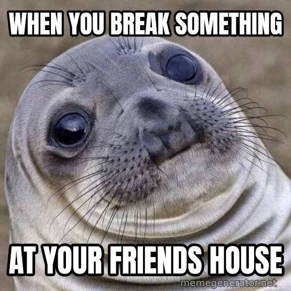 Awkward Seal meme: When yOu break something / At your friends house