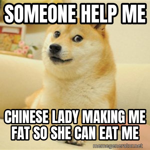so doge meme: someone help me / chinese lady making me fat so she can eat me