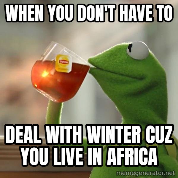 Kermit The Frog Drinking Tea meme: When you don't have to / deal with winter cuz you live in africa