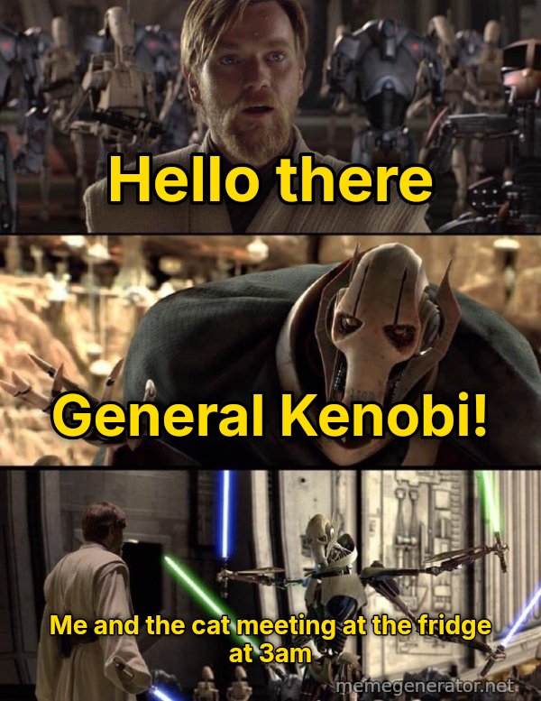 Hello There / General Kenobi meme: Hello there / General Kenobi! / Me and the cat meeting at the fridge at 3am