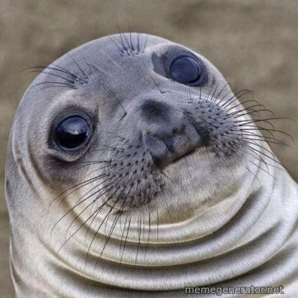 Awkward Seal meme template
