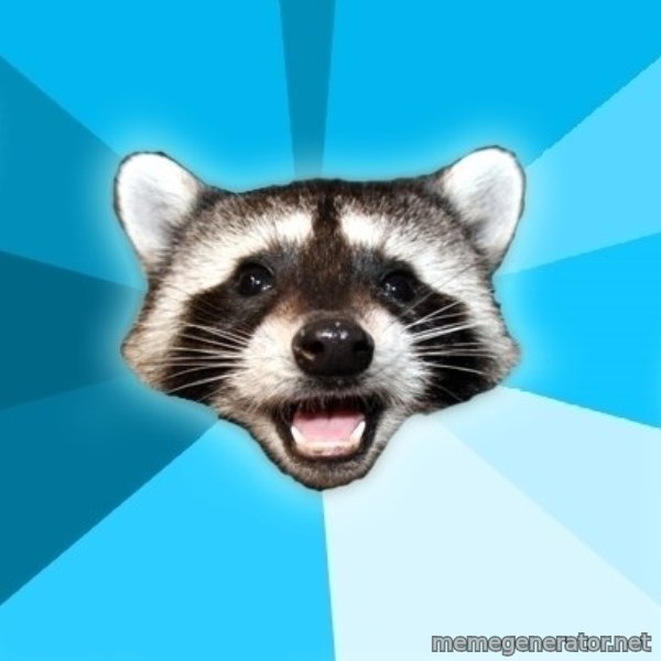 Lame Pun Coon meme template
